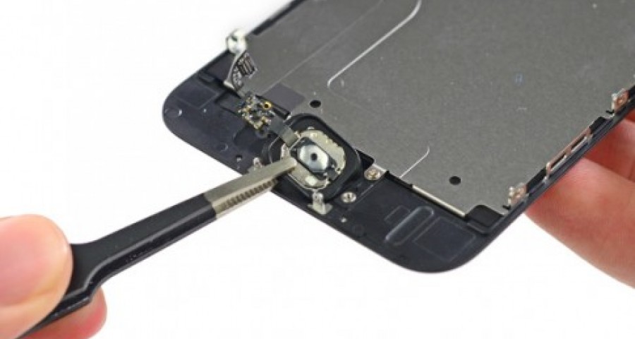 iPhone 6 iPhone 6 Home Tuşu Değişimi
